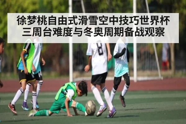 徐梦桃自由式滑雪空中技巧世界杯三周台难度与冬奥周期备战观察